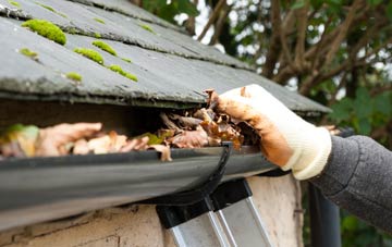 gutter cleaning Woodcroft